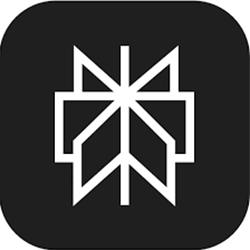 Perplexity icon